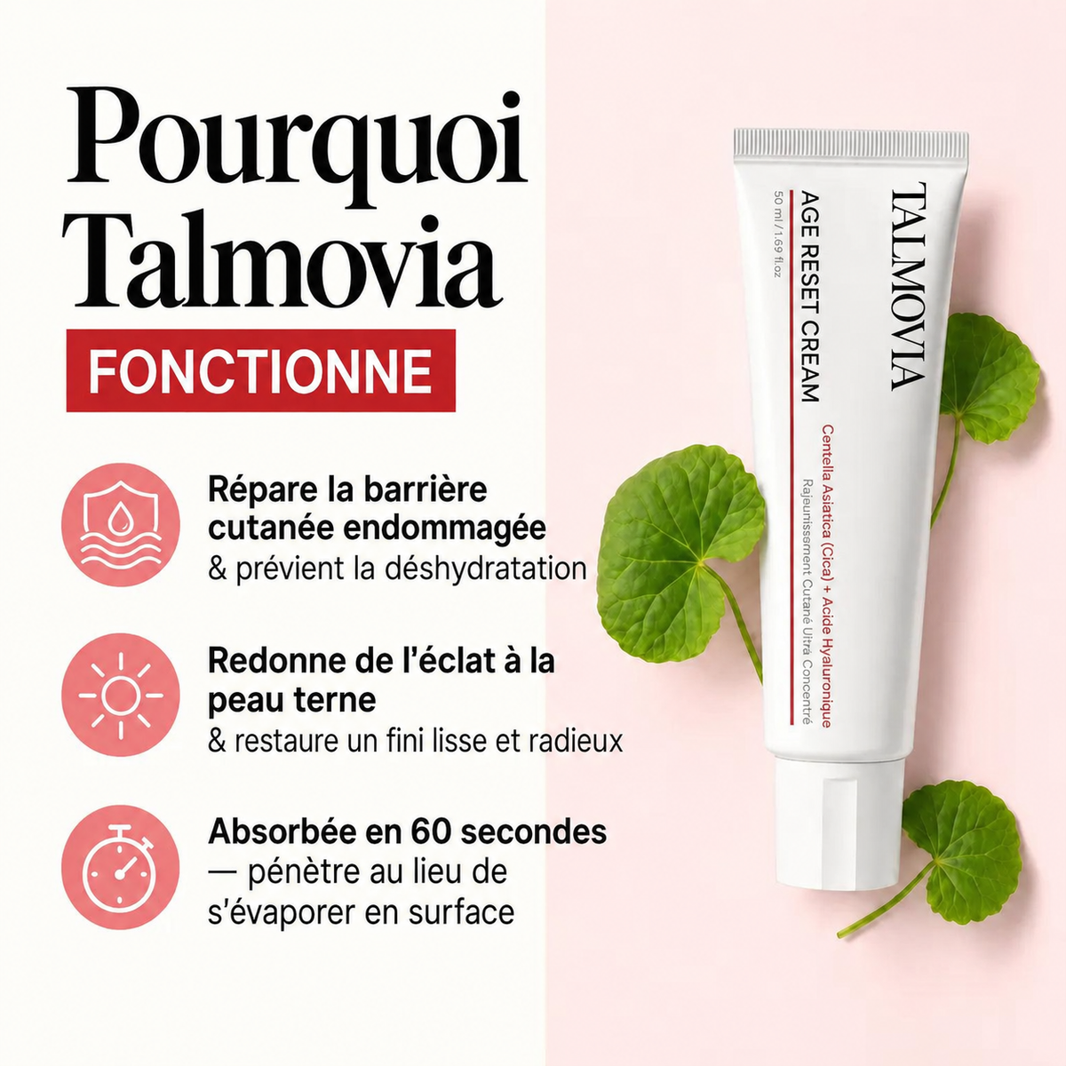 Talmovia Crème Anti-Âge Renaissance