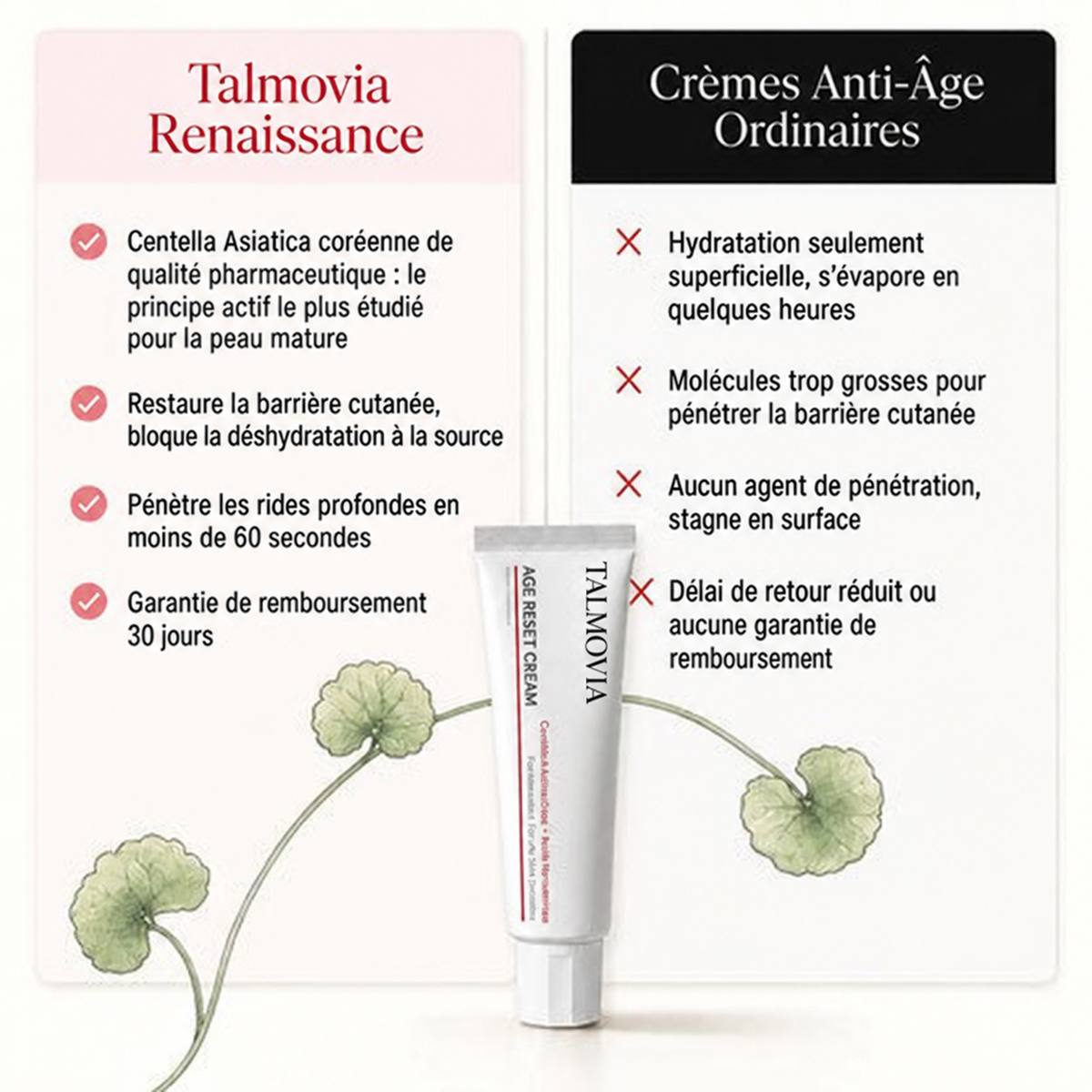 Talmovia Crème Anti-Âge Renaissance